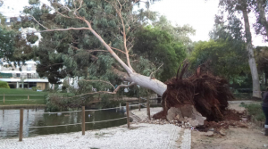 Screen Shot 2016-01-10 at 16.11.57